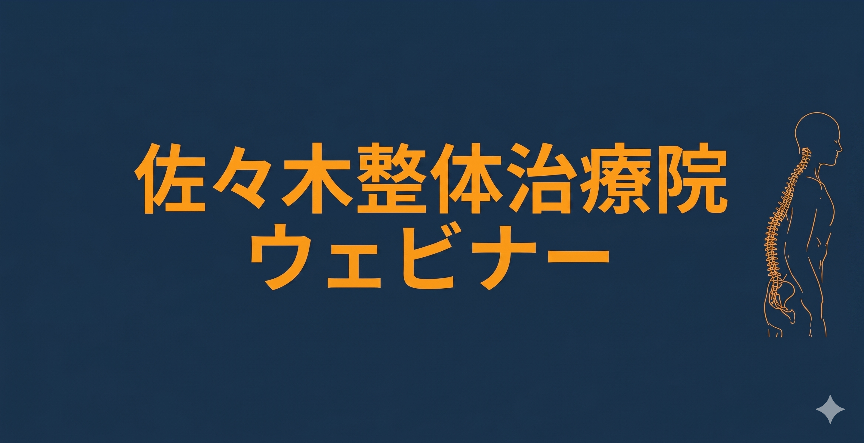 人体の背骨の骨格模型